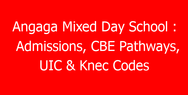 Angaga Mixed Day School : Admissions, CBE Pathways, UIC & Knec Codes