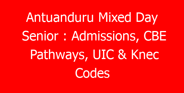 Antuanduru Mixed Day Senior : Admissions, CBE Pathways, UIC & Knec Codes