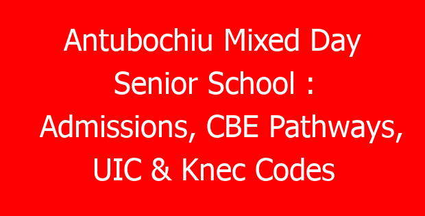 Antubochiu Mixed Day Senior School : Admissions, CBE Pathways, UIC & Knec Codes