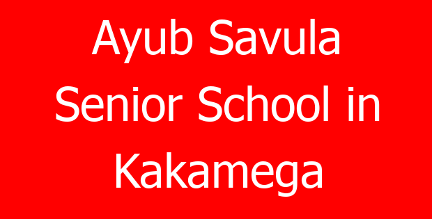 Ayub Savula Senior School in Kakamega