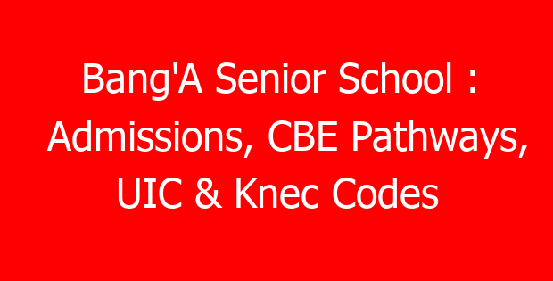 Bang’A Senior School : Admissions, CBE Pathways, UIC & Knec Codes