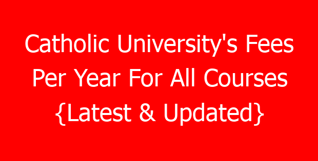 Catholic University’s Fees Per Year For All Courses {Latest & Updated}