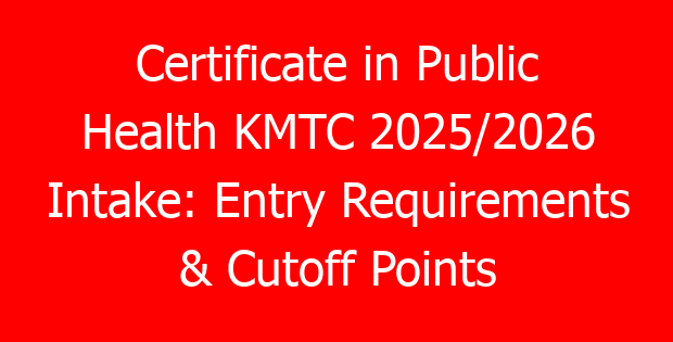 Certificate in Public Health KMTC 2025/2026 Intake: Entry Requirements & Cutoff Points