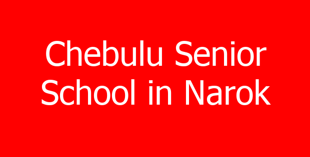 Chebulu Senior School in Narok