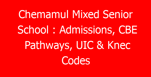 Chemamul Mixed Senior School : Admissions, CBE Pathways, UIC & Knec Codes
