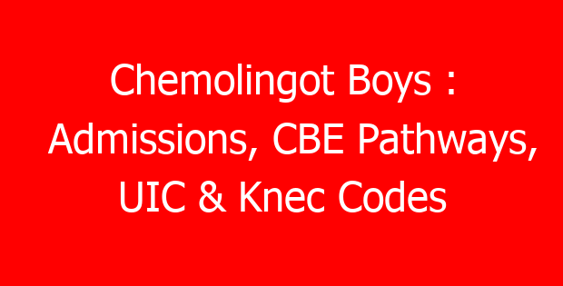 Chemolingot Boys : Admissions, CBE Pathways, UIC & Knec Codes