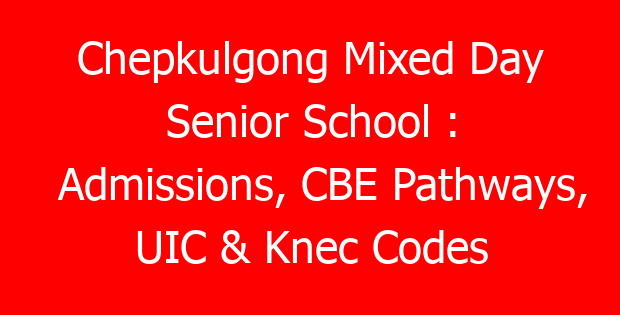 Chepkulgong Mixed Day Senior School : Admissions, CBE Pathways, UIC & Knec Codes