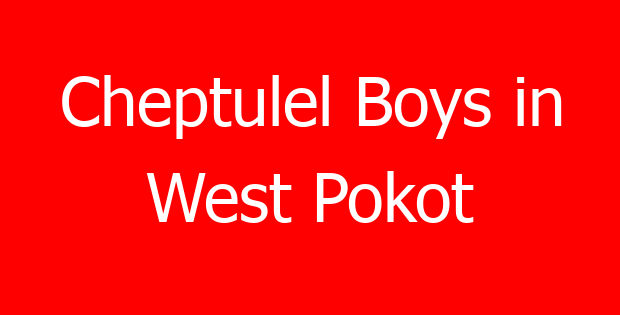 Cheptulel Boys in West Pokot
