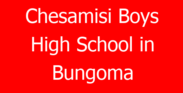 Chesamisi Boys High School in Bungoma
