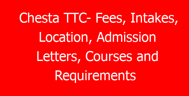 Chesta TTC- Fees, Intakes, Location, Admission Letters, Courses and Requirements