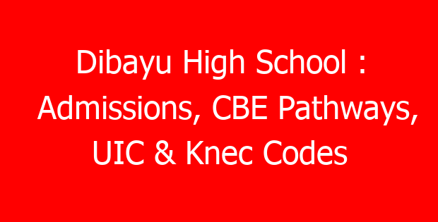 Dibayu High School : Admissions, CBE Pathways, UIC & Knec Codes