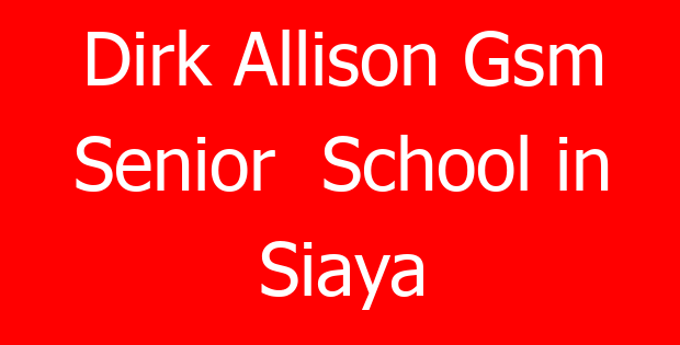 Dirk Allison Gsm Senior  School in Siaya