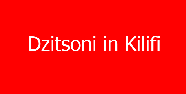 Dzitsoni in Kilifi