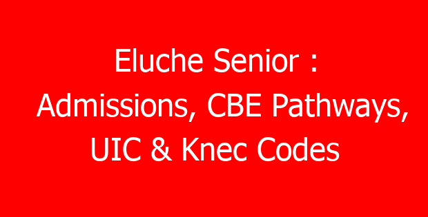 Eluche Senior : Admissions, CBE Pathways, UIC & Knec Codes