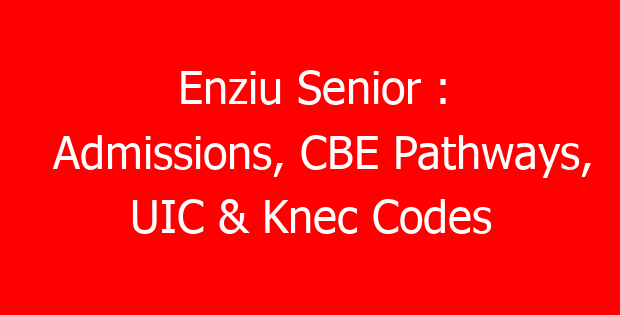 Enziu Senior : Admissions, CBE Pathways, UIC & Knec Codes