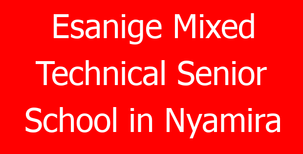 Esanige Mixed Technical Senior School in Nyamira