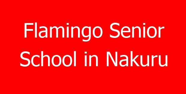 Flamingo Senior School in Nakuru