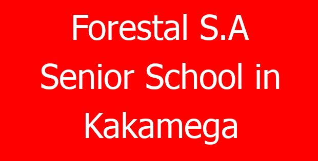 Forestal S.A Senior School in Kakamega