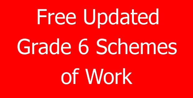 Free Updated Grade 6 Schemes of Work