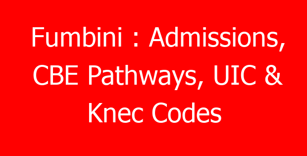 Fumbini : Admissions, CBE Pathways, UIC & Knec Codes