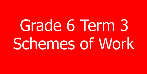 Grade 6 Term 3 Schemes of Work