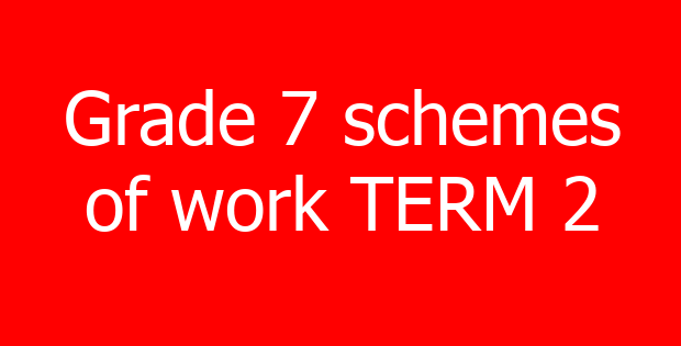 Grade 7 schemes of work TERM 2