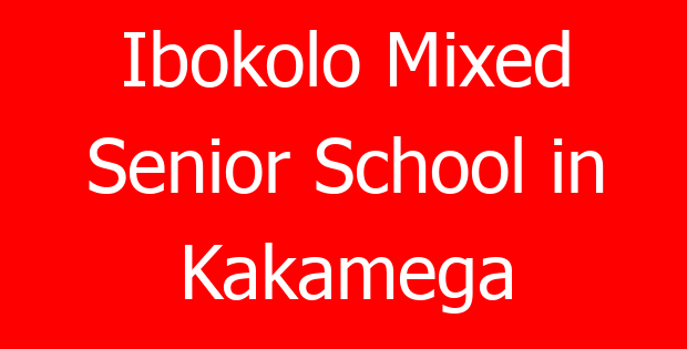 Ibokolo Mixed Senior School in Kakamega