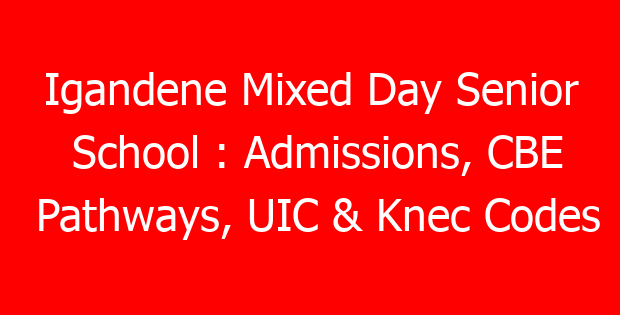 Igandene Mixed Day Senior School : Admissions, CBE Pathways, UIC & Knec Codes