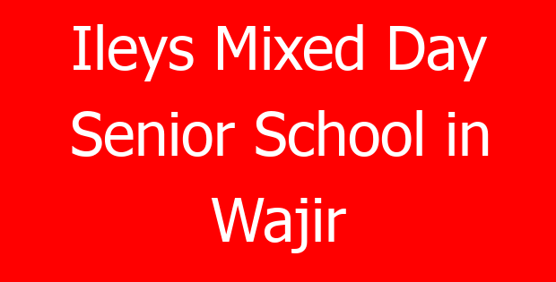 Ileys Mixed Day Senior School in Wajir