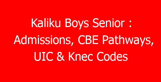 Kaliku Boys Senior : Admissions, CBE Pathways, UIC & Knec Codes