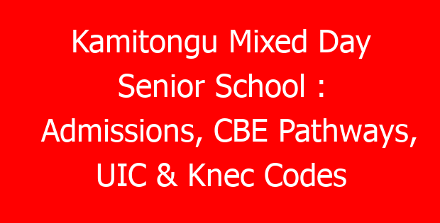 Kamitongu Mixed Day Senior School : Admissions, CBE Pathways, UIC & Knec Codes