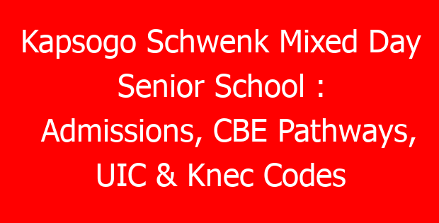 Kapsogo Schwenk Mixed Day Senior School : Admissions, CBE Pathways, UIC & Knec Codes
