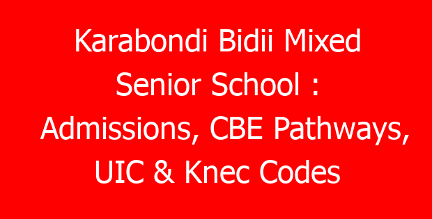 Karabondi Bidii Mixed Senior School : Admissions, CBE Pathways, UIC & Knec Codes
