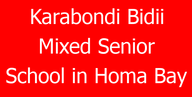 Karabondi Bidii Mixed Senior School in Homa Bay