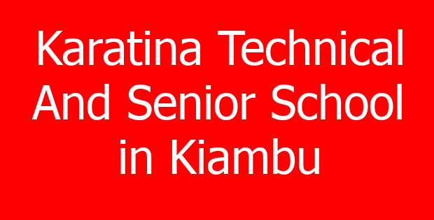 Karatina Technical And Senior School in Kiambu