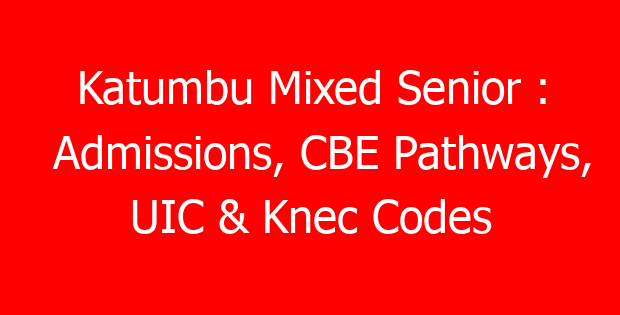 Katumbu Mixed Senior : Admissions, CBE Pathways, UIC & Knec Codes