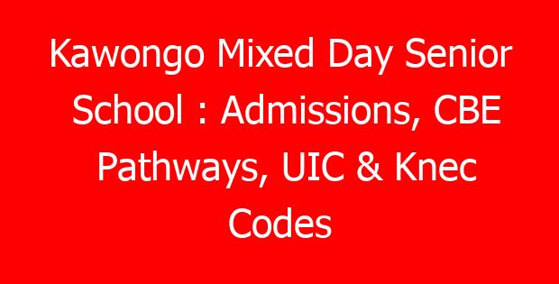 Kawongo Mixed Day Senior School : Admissions, CBE Pathways, UIC & Knec Codes