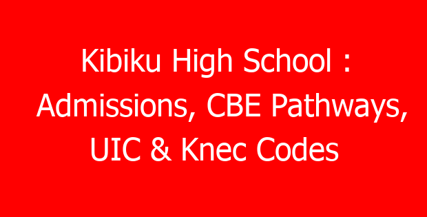 Kibiku High School : Admissions, CBE Pathways, UIC & Knec Codes