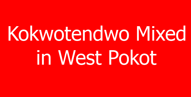 Kokwotendwo Mixed in West Pokot