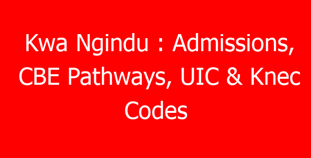 Kwa Ngindu : Admissions, CBE Pathways, UIC & Knec Codes