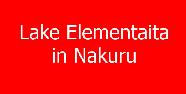 Lake Elementaita in Nakuru