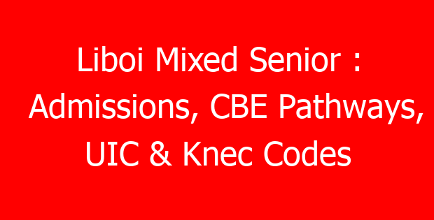 Liboi Mixed Senior : Admissions, CBE Pathways, UIC & Knec Codes