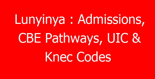 Lunyinya : Admissions, CBE Pathways, UIC & Knec Codes