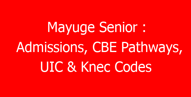 Mayuge Senior : Admissions, CBE Pathways, UIC & Knec Codes