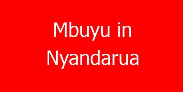 Mbuyu in Nyandarua