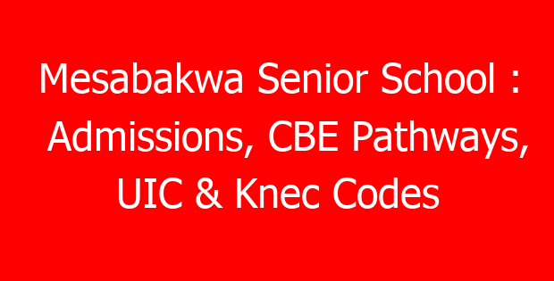 Mesabakwa Senior School : Admissions, CBE Pathways, UIC & Knec Codes