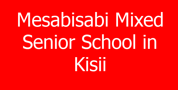 Mesabisabi Mixed Senior School in Kisii