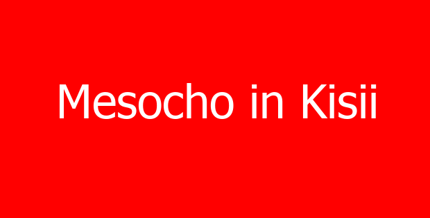 Mesocho in Kisii