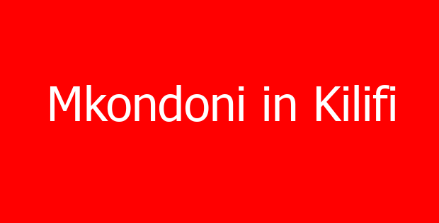Mkondoni in Kilifi