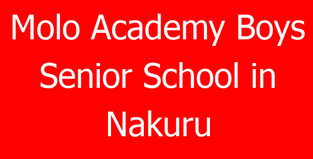 Molo Academy Boys Senior School in Nakuru